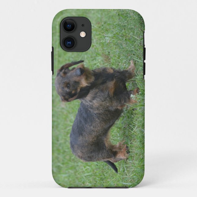 Cute Wire Haired Dachshund Case-Mate iPhone Case (Back)