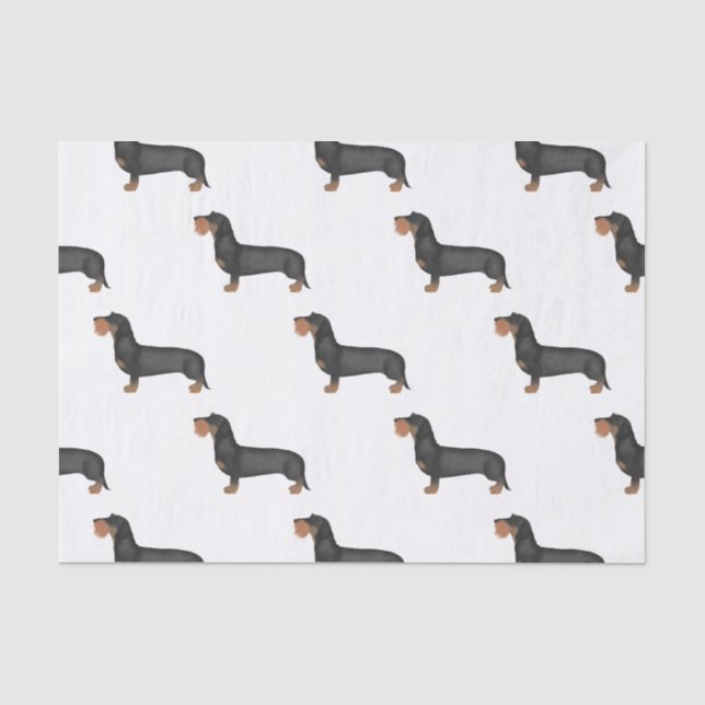 Cute Wire Haired Dachshund Sausage Dog Tissue Paper (Front)