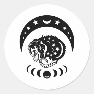 Cute Witchy Opossum Classic Round Sticker