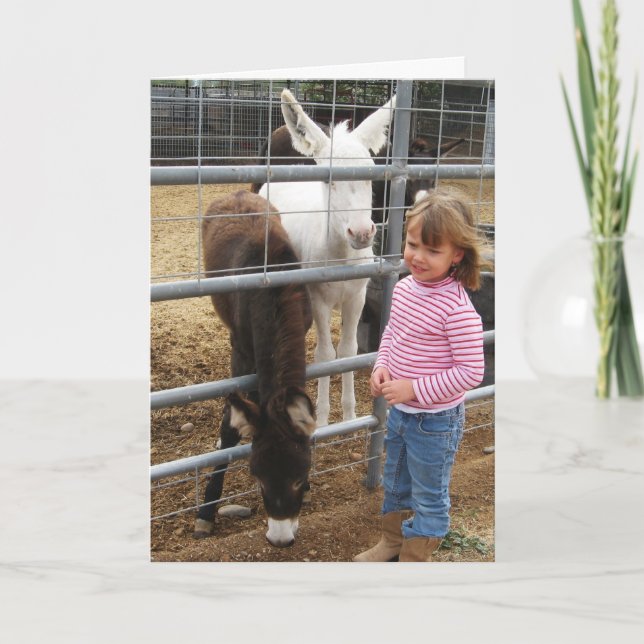 Cute Woman DVM Graduate Western Congratulations Card (Front)