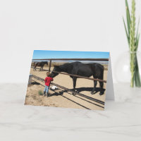Cute Woman Graduate Equine D.V.M. Congratulations