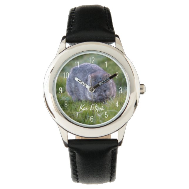 Cute Wombat Animal Australia Eating Grass Watch (Front)