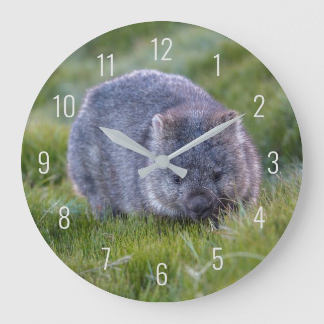 Cute Wombat Wildlife Animal Australia Green Large Clock (Front)