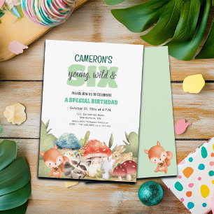 Cute Woodland Animals 6th Birthday Party  Invitation