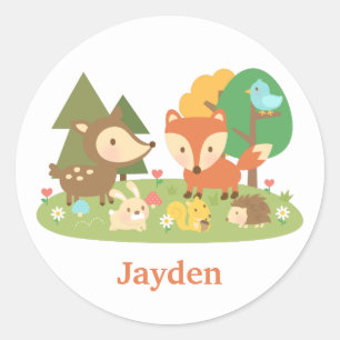 Cute Woodland Forest Animal For Kids Classic Round Sticker