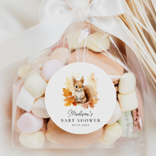 Cute Woodland Squirrel Fall Baby Shower Classic Round Sticker