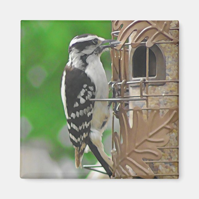 Cute Woodpecker Bird on Birdhouse Magnet (Front)
