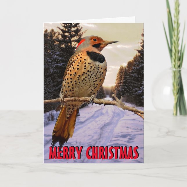 Cute woodpecker Christmas Card (Front)