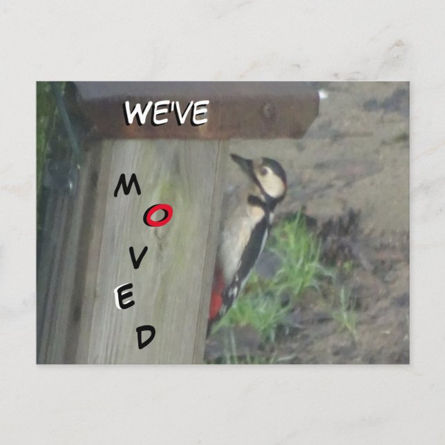Cute Woodpecker on Nest Box We've Moved Postcard (Front)