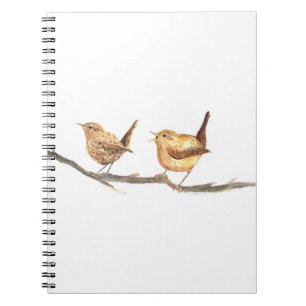 Cute wrens birds nursery watercolor nature notebook