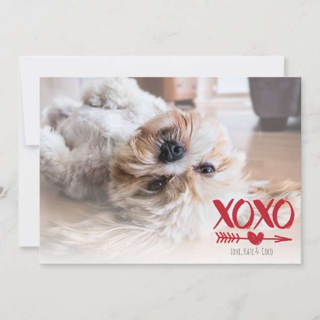 Cute XOXO Heart Valentine's Day Photo Cards (Front)