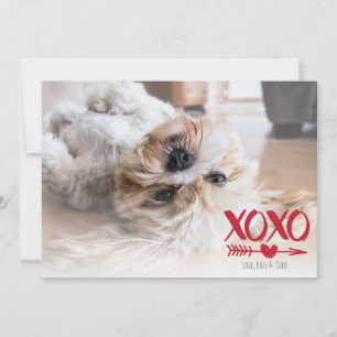 Cute XOXO Heart Valentine's Day Photo Cards