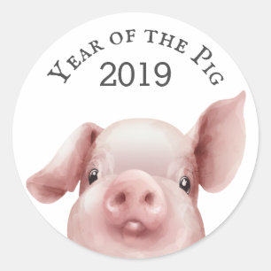 Cute Year of the Pig 2019 Envelope Seal