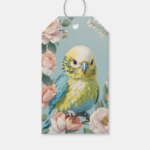 Cute Yellow And Blue Baby Budgie Parakeet Bird Gift Tags