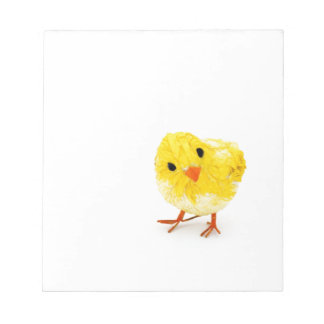 Cute yellow baby chick notepad