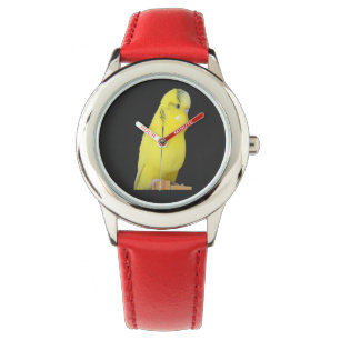 cute yellow Budgie Watch
