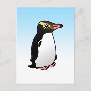 Cute Yellow-eyed Penguin Postcard