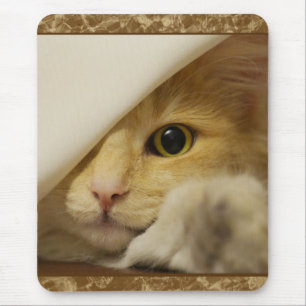 Cute Yellow Kitten Mousepad