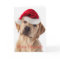 Cute Yellow Lab dog with Santa Hat Christmas card