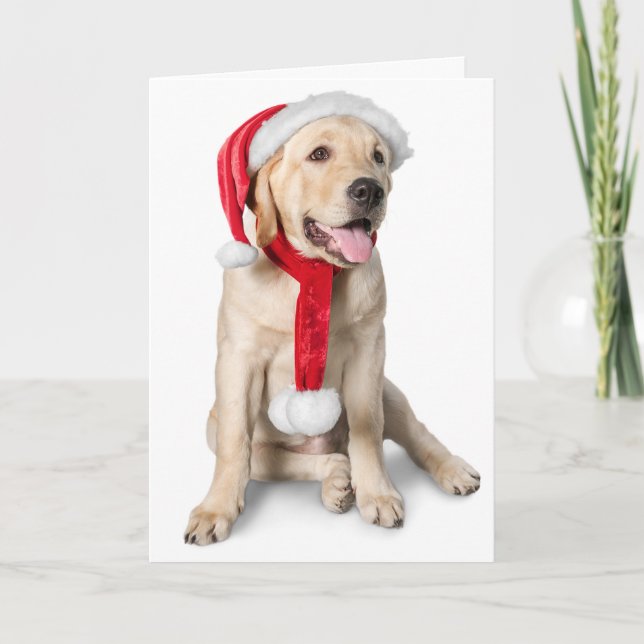 Cute Yellow Lab with Santa Hat Labby Holidays! Holiday Card (Front)