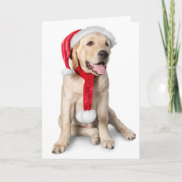 Cute Yellow Lab with Santa Hat Labby Holidays! Holiday Card