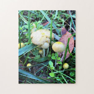 Cute Yellow Mushrooms, Oregon Jigsaw Puzzle