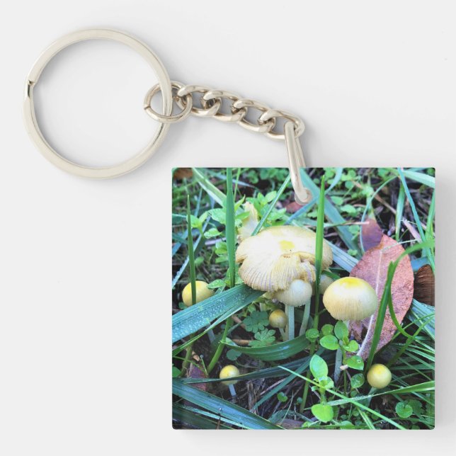 Cute Yellow Mushrooms, Oregon Key Ring (Front)