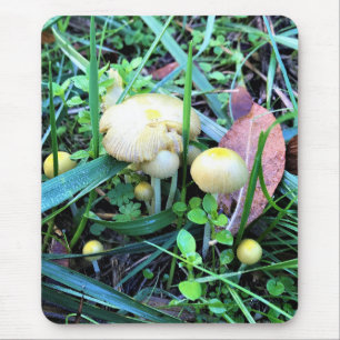 Cute Yellow Mushrooms, Oregon Mouse Mat