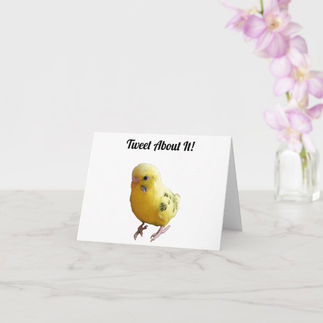 Cute Yellow Parakeet Friendly Pet Bird Photograph Card (Orchid)