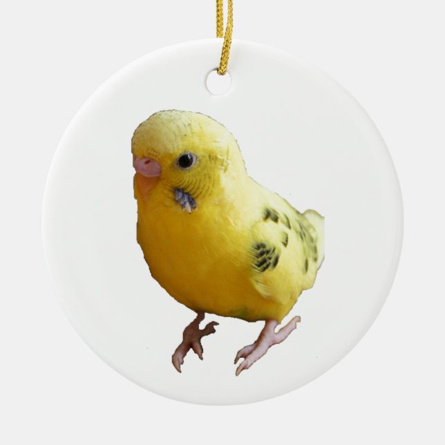 Cute Yellow Parakeet Friendly Pet Bird Photograph Ceramic Tree Decoration (Front)