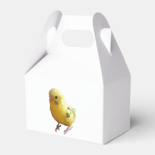 Cute Yellow Parakeet Friendly Pet Bird Photograph Favour Box