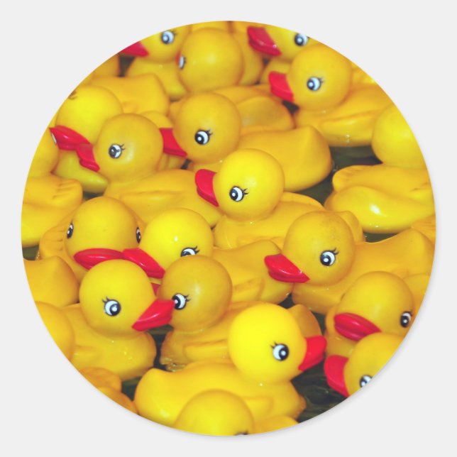 Cute yellow rubber duckies classic round sticker (Front)