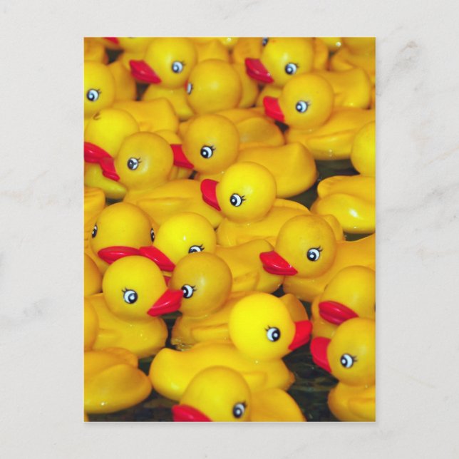 Cute yellow rubber duckies postcard (Front)