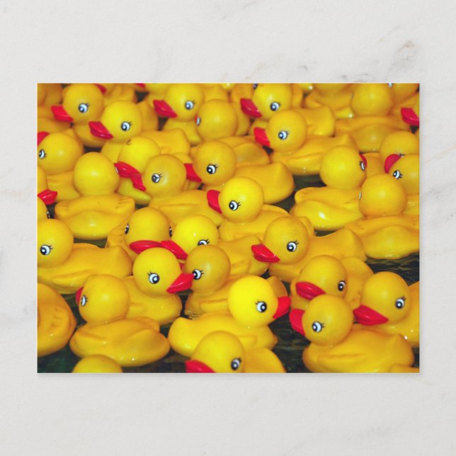 Cute yellow rubber duckies postcard (Front)