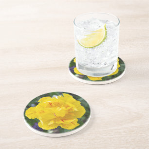 Cute yellow tulips in the garden coaster