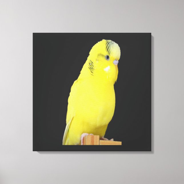 cute yellow wavy canvas print (Front)