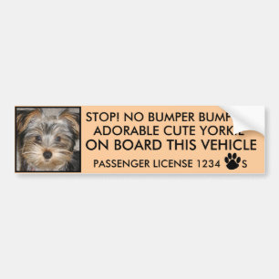 CUTE YORKIE BUMPER STICKER  (NO BUMPER BUMPING)