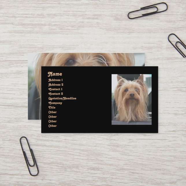Cute Yorkie Business Card (Front/Back In Situ)