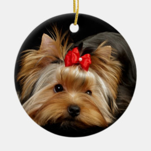 Cute yorkie ceramic tree decoration