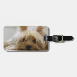 Cute Yorkie Luggage Tag