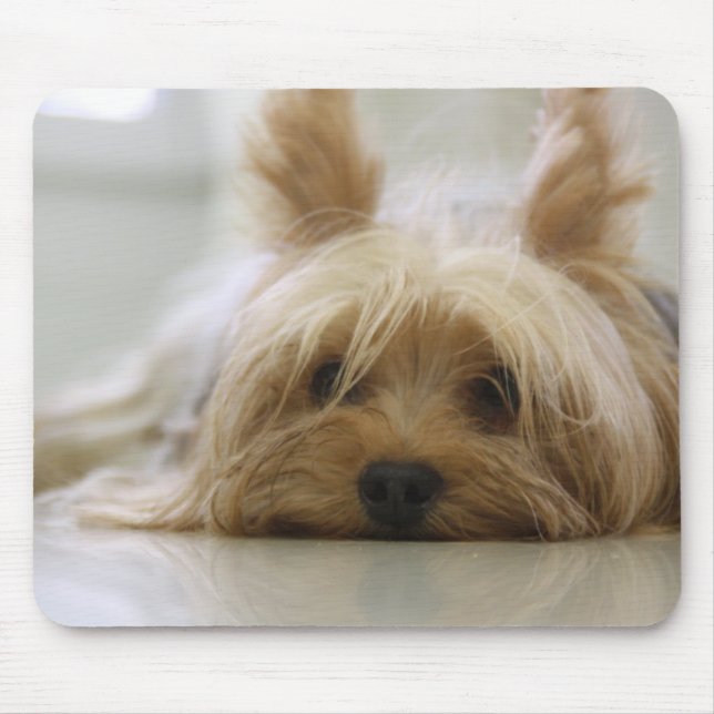 Cute Yorkie Mouse Mat (Front)