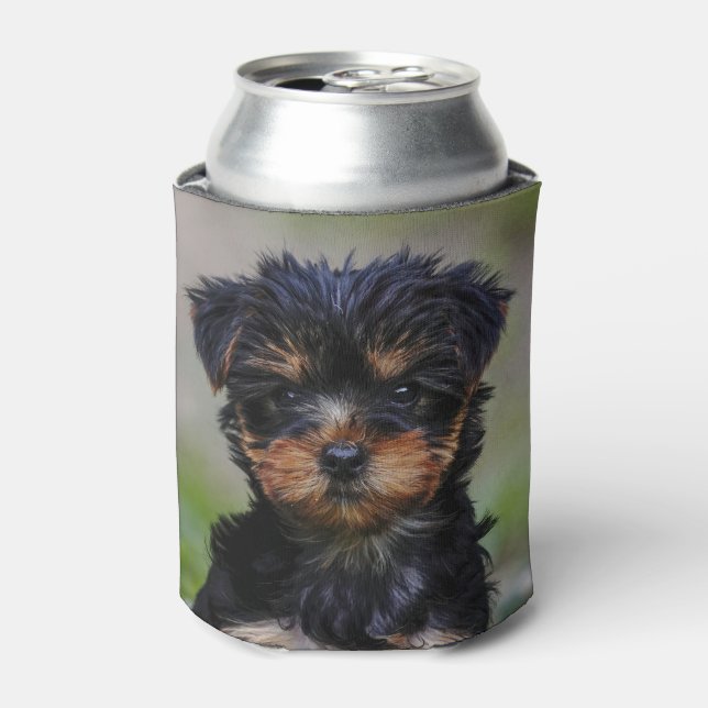 Cute Yorkie Puppy Can Cooler (Can Front)