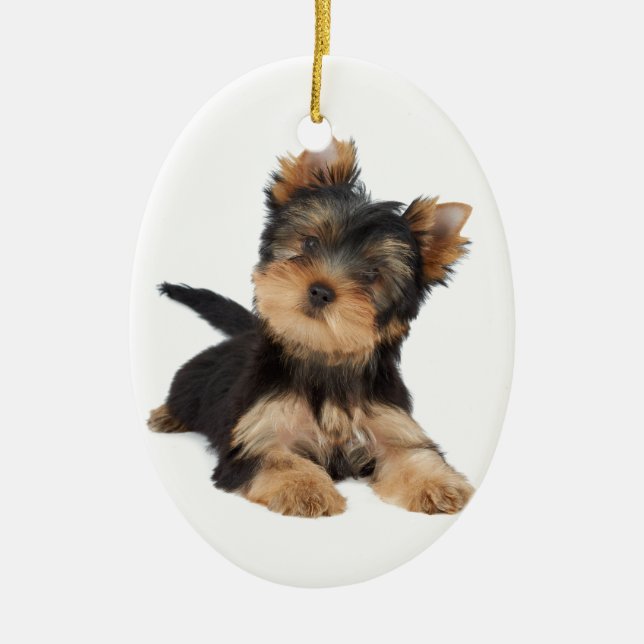 Cute yorkie puppy ceramic tree decoration (Front)