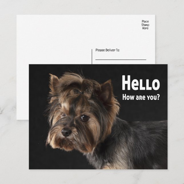 Cute Yorkie Puppy Dog Love Yorkshire Terrier Hello Postcard (Front/Back)