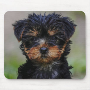 Cute Yorkie Puppy Mouse Mat