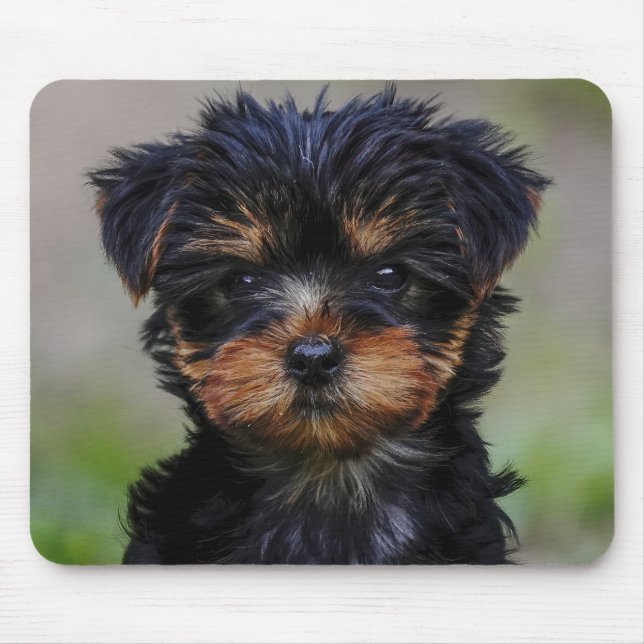 Cute Yorkie Puppy Mouse Mat (Front)