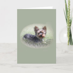 Cute Yorkie Terrier Buddy Custom Greeting Card