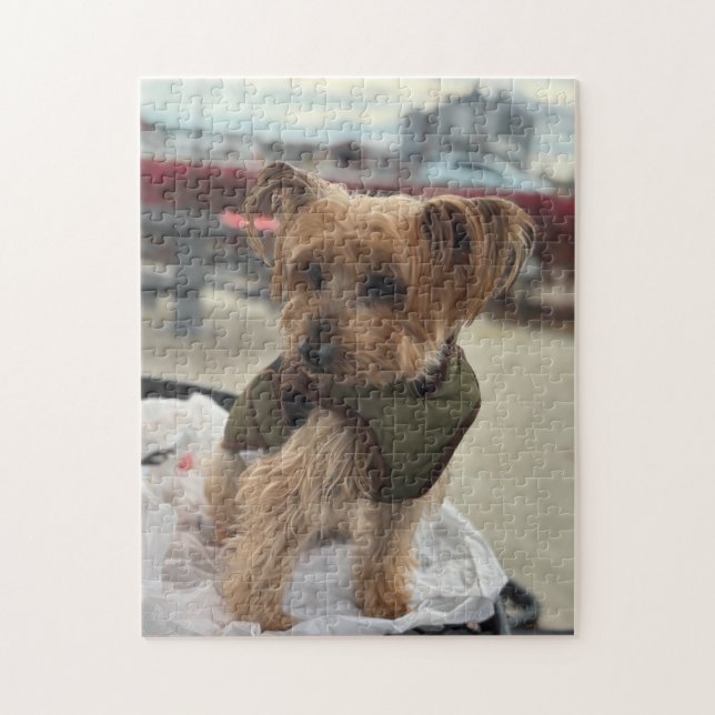 Cute Yorkie / Westie at the Cider Mill Jigsaw Puzzle (Vertical)