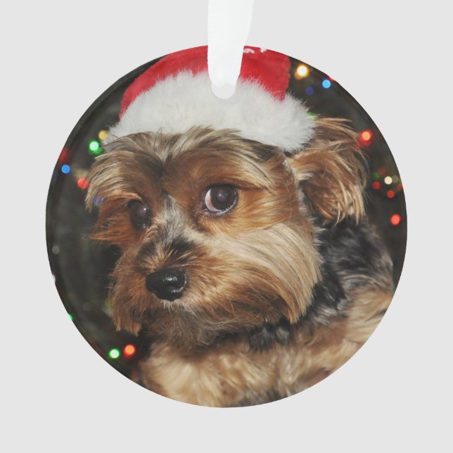Cute Yorkie with Santa Hat Ornament (Front)