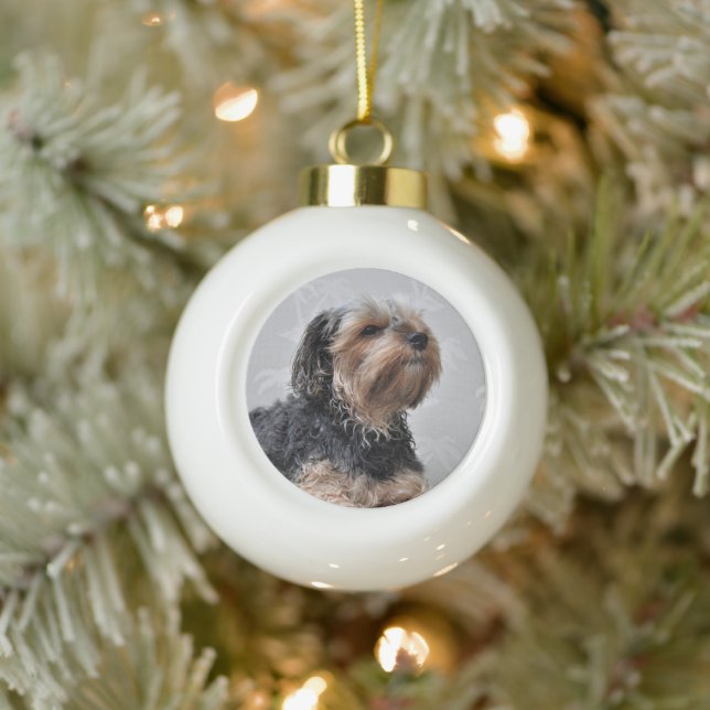 Cute Yorkie Yorkshire Terrier Sunbathing  Ceramic Ball Christmas Ornament (Tree)